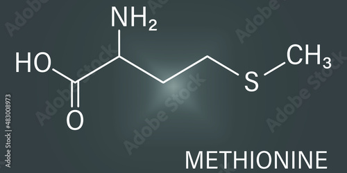 Methionine or l-methionine, Met, M amino acid molecule. Skeletal formula.