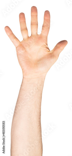 Caucasian open man hand