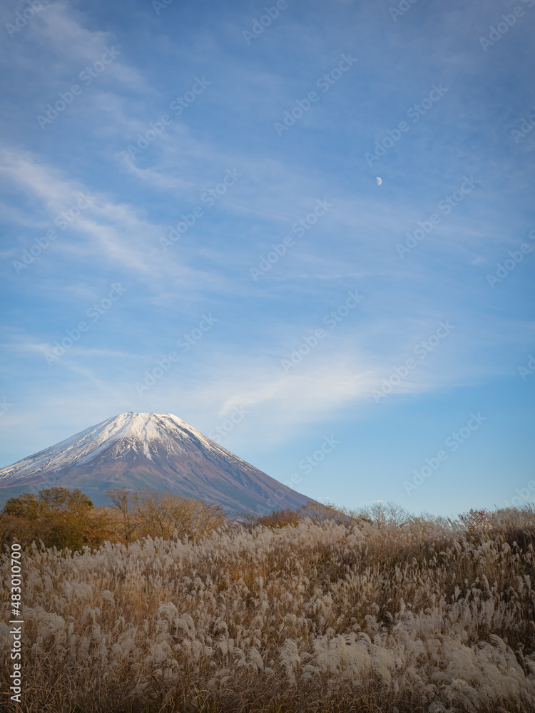 【富士山】秋晴れとススキ