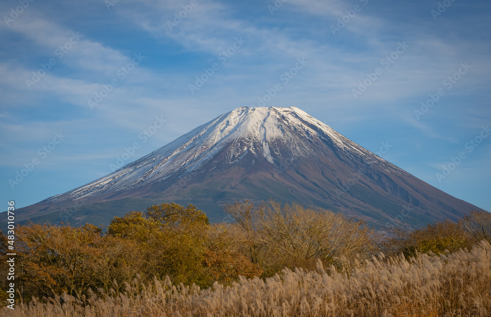 【富士山】秋晴れとススキ