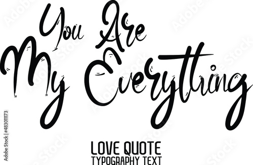 You Are My Everything. in a trendy stylish font calligraphic style 