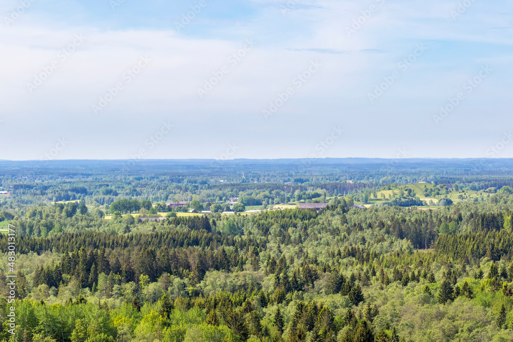 Landscape view with a mixed forests Landscape view with a mixed forests