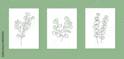 Bohemian eucalyptus branch vector. Eucalyptus with leaves in linear style. Boho Logo nature, field plants illustration for wall art.