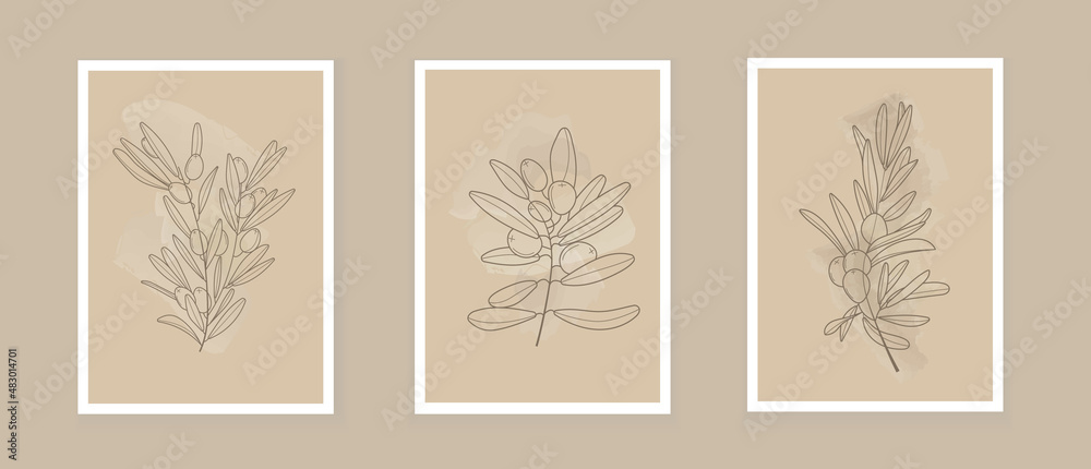Bohemian olive branch vector. Olives with leaves in a linear style. Boho Logo nature, field plants
