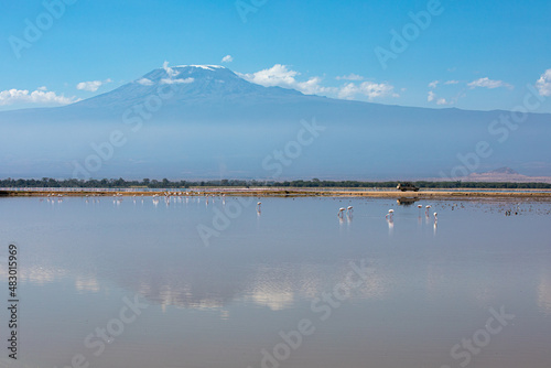 Serene scenary of Amboseli National Park  Kenya