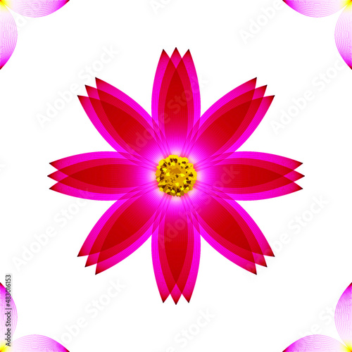 Cosmea flower  geometric pattern  vector.