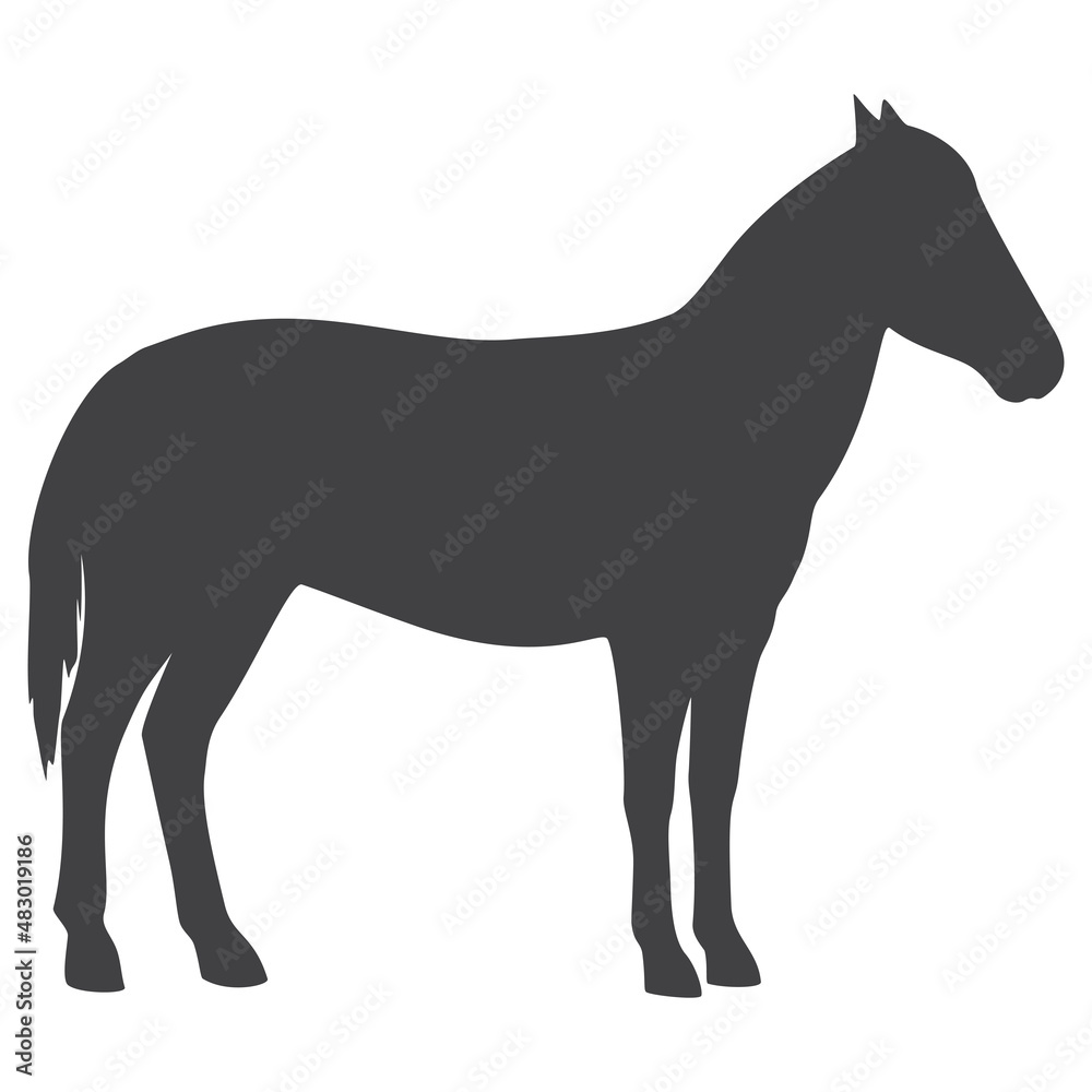 Horse silhouette, icon. Vector illustration on a white background.