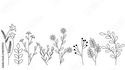 stylized flowers and herbs black contour