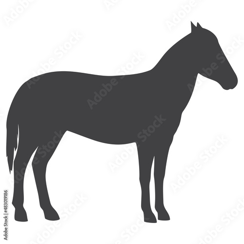 Horse silhouette  icon. Vector illustration on a white background.