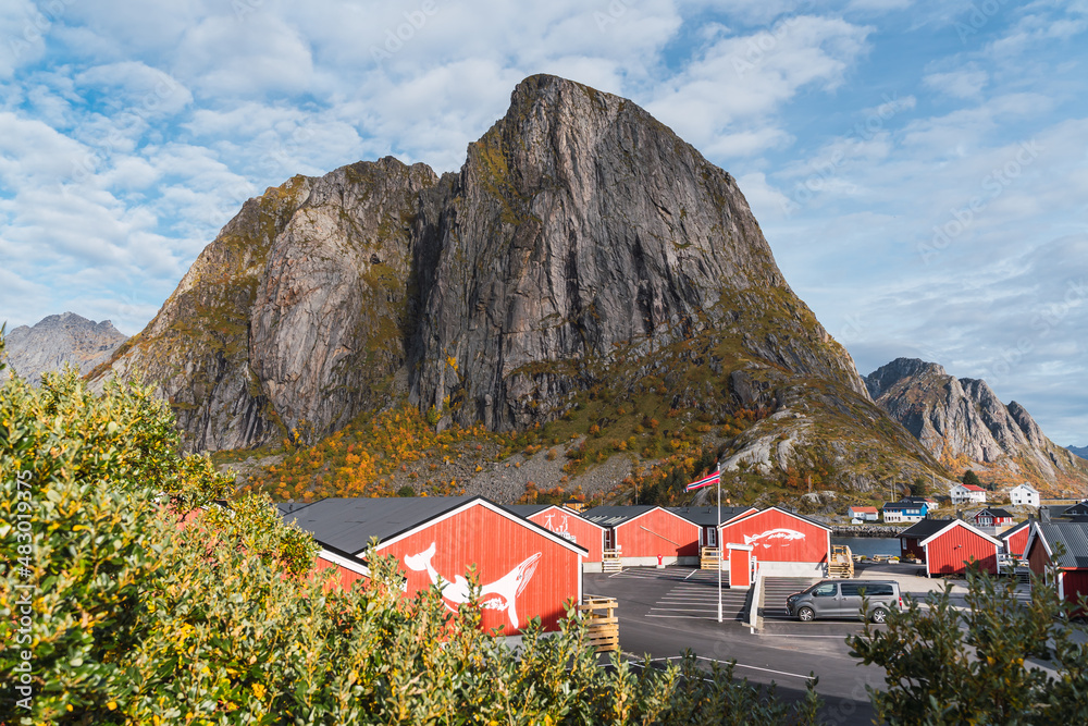Typical norwegian village with red houses