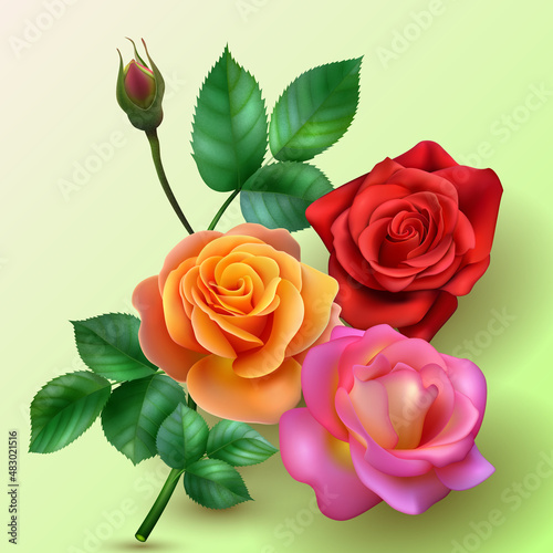 Floristry. A bouquet of roses on a branch. Vector illustration of realistic roses of different colors with a branch of an unopened bud on a light background. Postcard, banner, poster.