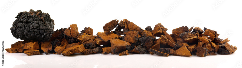 Chaga Mushroom Panorama isolated on white Background - Healthy Nutrition Chaga Mushroom Panorama isolated on white Background - Healthy Nutrition