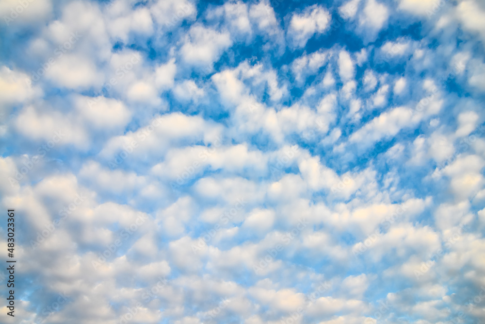 Obraz premium blue sky and white fluffy clouds