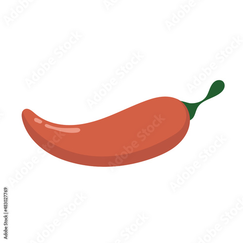 paprika  flat icon
