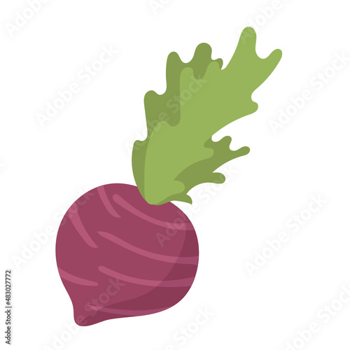 taro flat icon