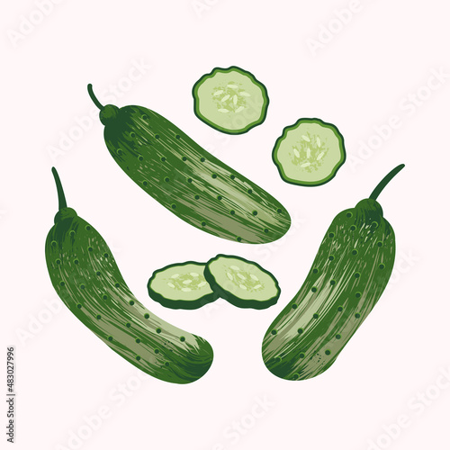 Vector illustration  isolated the cucumbers and slices of cucumber. Isolated elements for design.