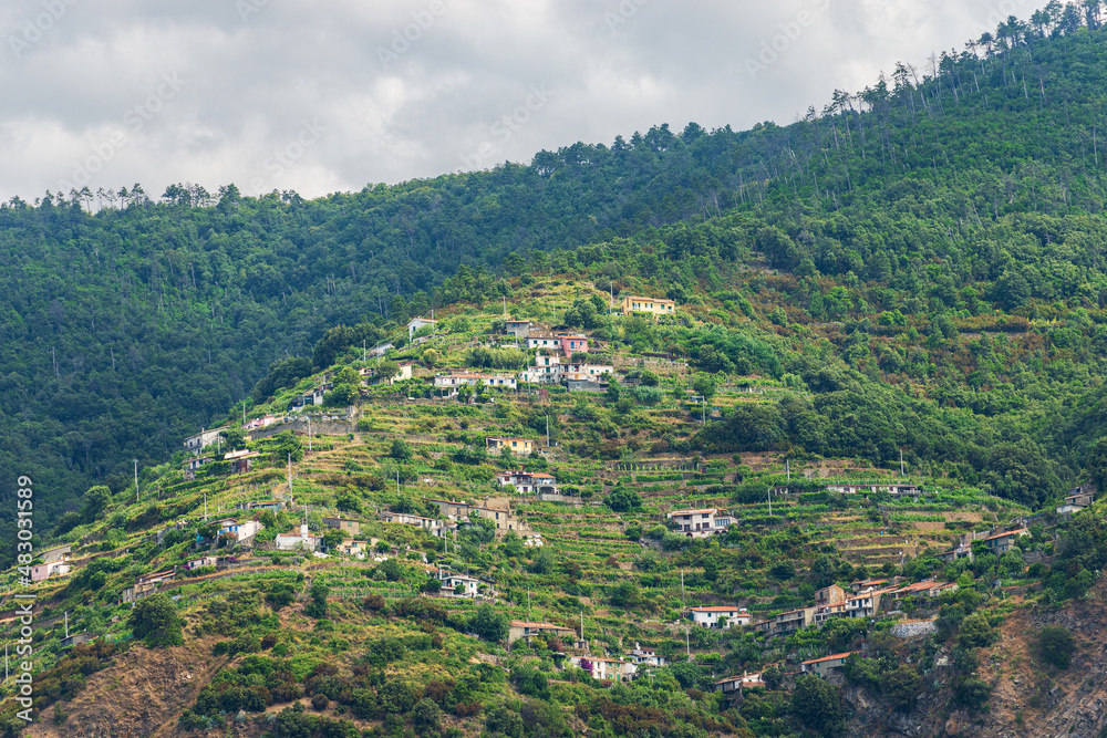 Small rural village on the coast of the Cinque Terre National Park, between the town of Porto Venere or Portovenere and Riomaggiore, Mediterranean Sea, La Spezia province, Liguria, Italy, Europe.