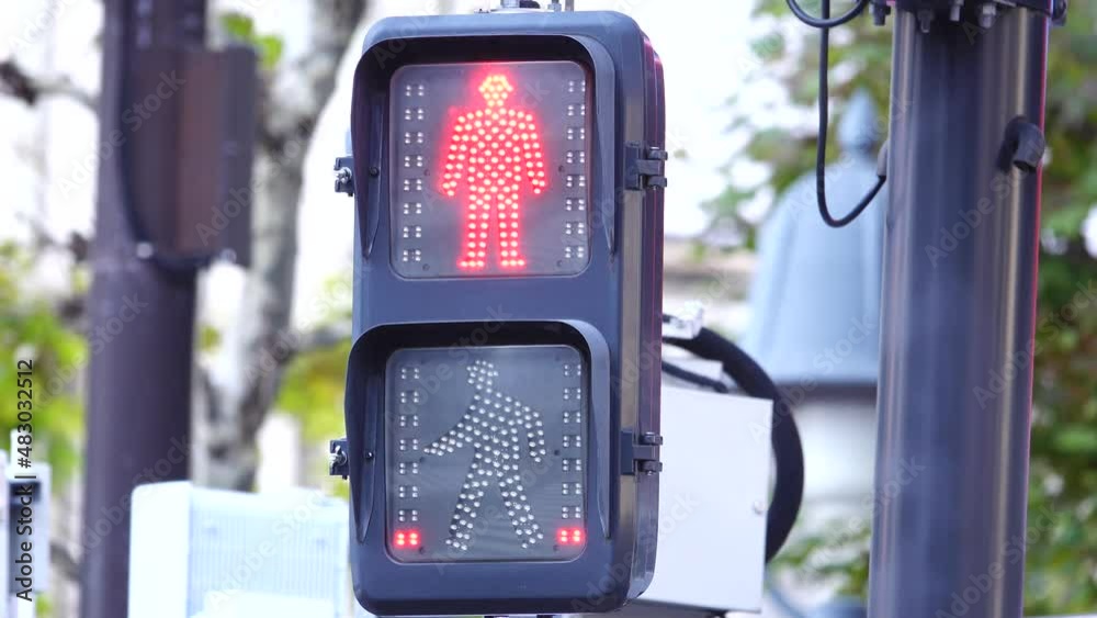 カウントダウン式 歩行者用信号機 2022 渋谷スクランブル交差点 vídeo