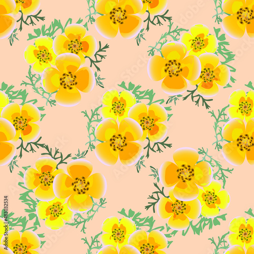 Eshsholtsiya orange flowers with leaves floral seamless texture. Vector