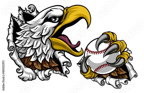 Bald Eagle Hawk Ripping Cla...