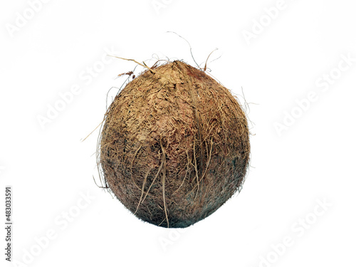 Coconut Isolated on White