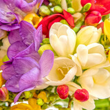 multi color freesia flowers top view closeup, natural background