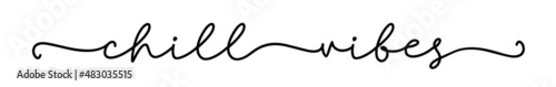 Chill vibes. Handwritten vector cursive script phrase. Inspiration graphic design typography text shill vibes. Simple vector sign logo. Modern brush calligraphy quote shill vibes.