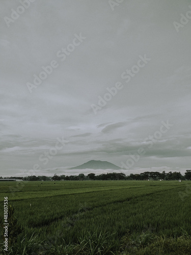 storm clouds over the field