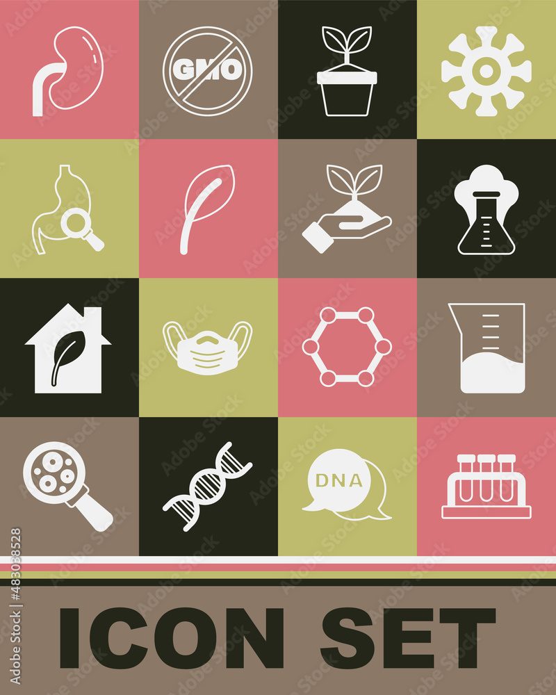 Set Test tube and flask, Laboratory glassware or beaker, Chemical explosion, Plant in pot, Leaf leaves, Stomach with magnifying, Human kidney and hand icon. Vector Set Test tube and flask, Laboratory glassware or beaker, Chemical explosion, Plant in pot, Leaf leaves, Stomach with magnifying, Human kidney and hand icon. Vector
