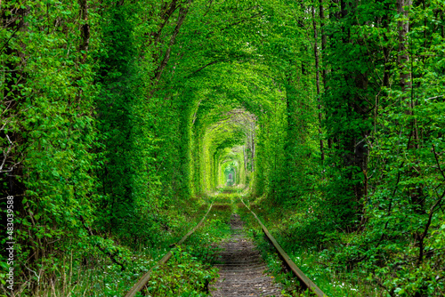 a railway in the spring forest tunnel of love