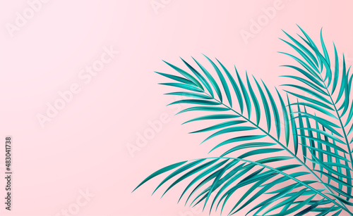 Tropical palm leaves corner design color background