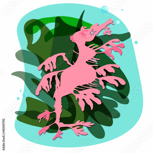 Pink seahorse Phyllopteryx eques in sea green algae on the seabed underwater coral reef. Spot modern style, flat illustration.Vector print