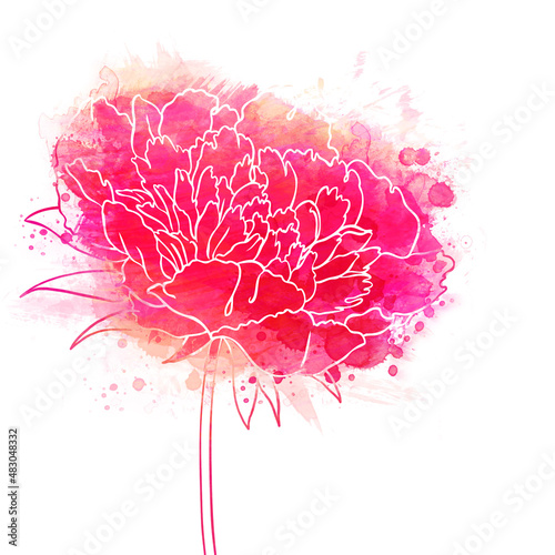 Beautiful Peonies flower. Watercolor painting.