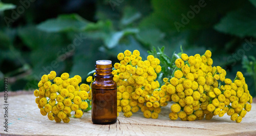 oils from the immortelle plant. selective focus photo