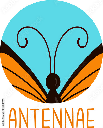 Animal Body Part Butterfly Antennae Illustration photo