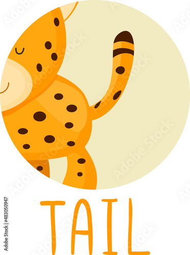Animal Body Part Cheetah Ta...
