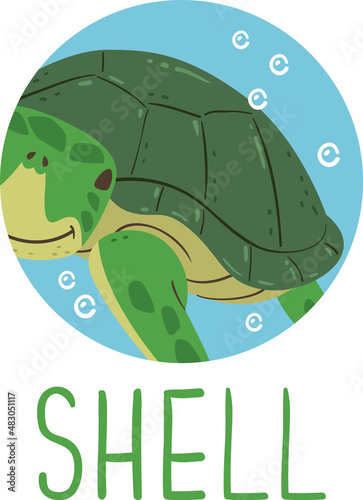Animal Body Part Shell Illu...