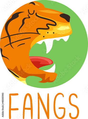 Animal Body Part Tiger Fangs Illustration