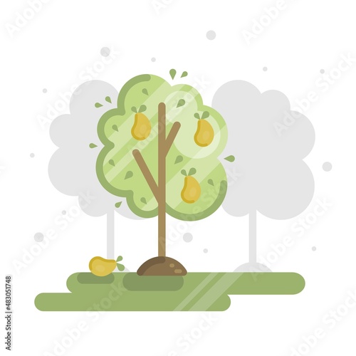 Vector flat illustration with garden background, orchard, pear tree and ripe pears.