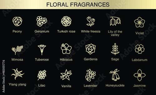 Vector icons aromas floral notes. Floral fragrances with examples of popular essences. Trend  examples of scents. Floral icons.