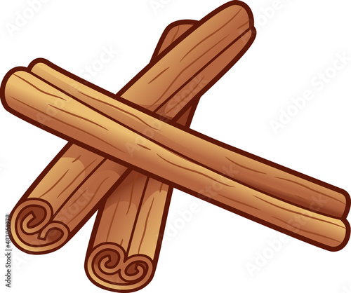 Cinnamon Sticks Illustration