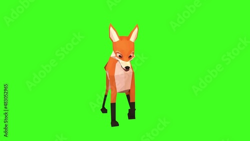 Fox animation, Red fox front walk Loop animation. Isolated and cyclic animation. Green Screen. 3D animation of a cute red fox walking on green chroma key background, 4K photo