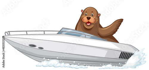 Sea lion on speed boat in cartoon style