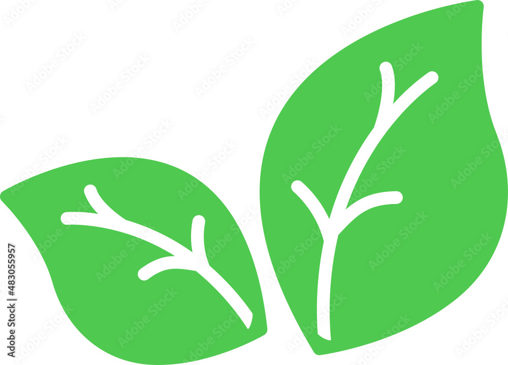 Fototapeta premium leaf icon