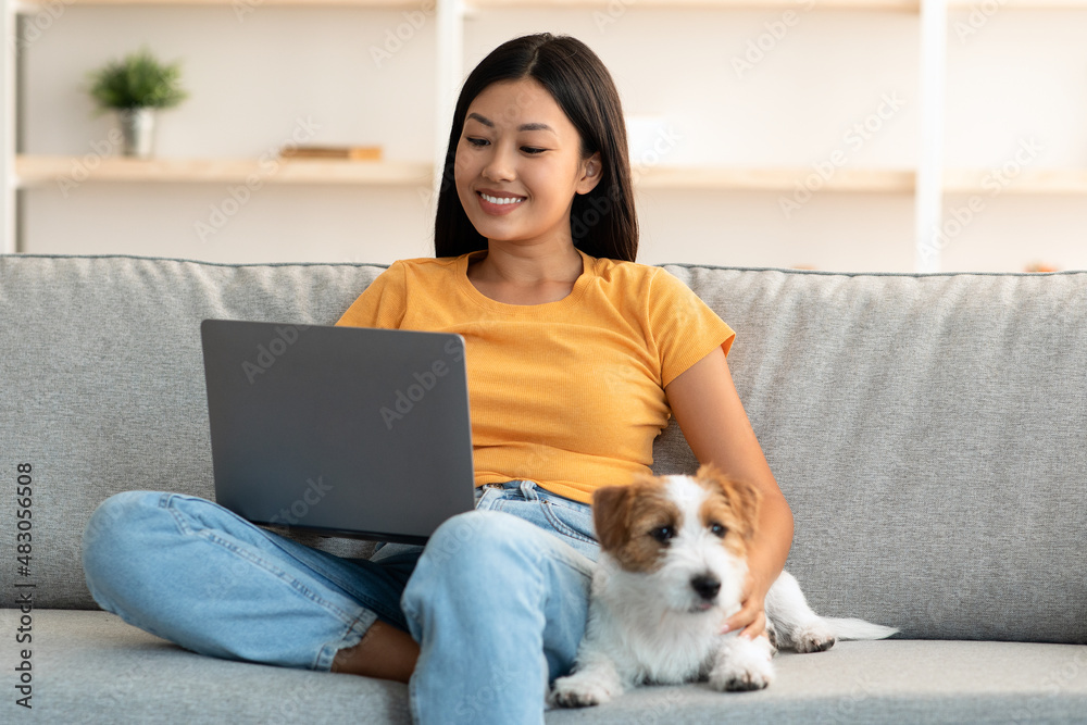 Loyal dog resting by its female owner using laptop Loyal dog resting by its female owner using laptop
