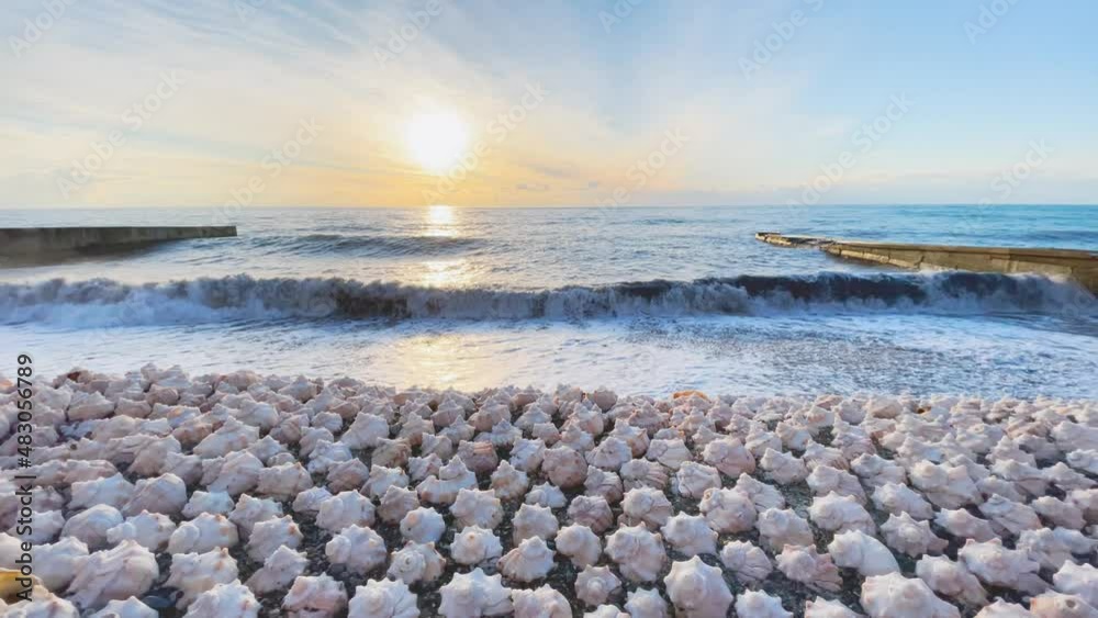 Sea beach and lined clam shells on the sand at sunset with waves. Beautiful amazing coastline view on the theme of vacation summer travel. Sea beach and lined clam shells on the sand at sunset with waves. Beautiful amazing coastline view on the theme of vacation summer travel.