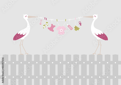 Zwei Störche Auf Zaun Mit Babysymbolen Mädchen Rosa Olivgrün