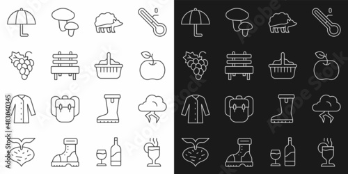 Set line Mulled wine  Storm  Apple  Hedgehog  Bench  Grape fruit  Umbrella and Basket icon. Vector