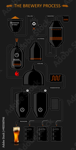 Diagram of  the process of brewing beer. Detailed illustration