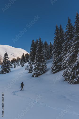 An unrecognizable male hiker wearing snowshoes walking in a forest in the French Alps on a cold winter day (L'Enclus, Devoluy, Hautes-Alpes)